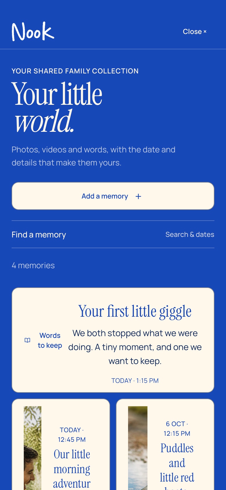 A sample Nook album with fictional family memories